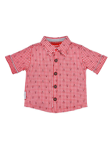 Bondi Trachtenhemd "Gipfelkraxler" in Rot/ Weiß