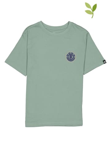 DC Shirt "Seal BP" mintgroen