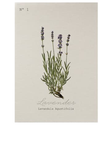 Tierra Bella Canvasdruk "Lavender" - (B)50 x (H)70 cm