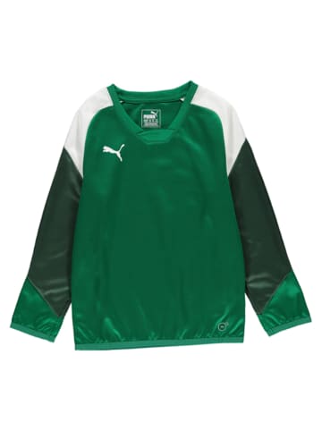 Puma Koszulka sportowa w kolorze zielonym