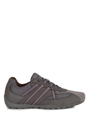 GEOX Schoenen, Kleding, Textielaccessoires - Gratis levering | Spartoo.nl