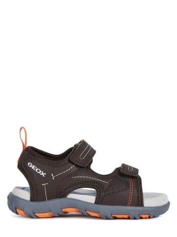 ذوبان تقهقر مفاعل van dalen geox kinderschoenen - rise-association.com