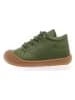 Naturino Leren sneakers "Cocoon" groen