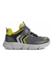 Geox Sneakers grijs/groen