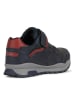Geox Sneakers donkerblauw/rood