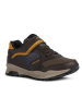 Geox Sneakers bruin/donkerblauw/geel