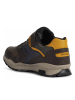 Geox Sneakers bruin/donkerblauw/geel