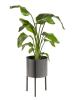 Lifa Living Plantenstandaard "Delphine" grijs - (H)50 cm