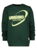 Vingino Sweatshirt "Nikko" groen