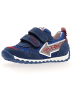 Naturino Leder-Sneakers in Blau