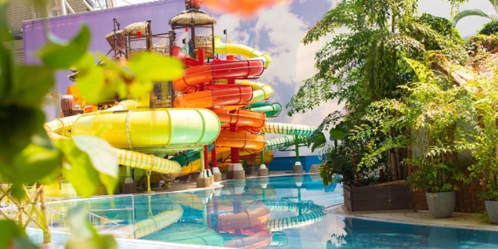 Tropical Islands Woodland