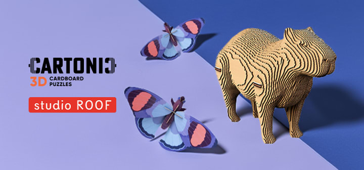 CARTONIC & Studio ROOF