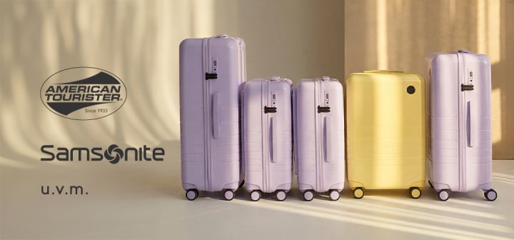 SALE: Reisegepäck