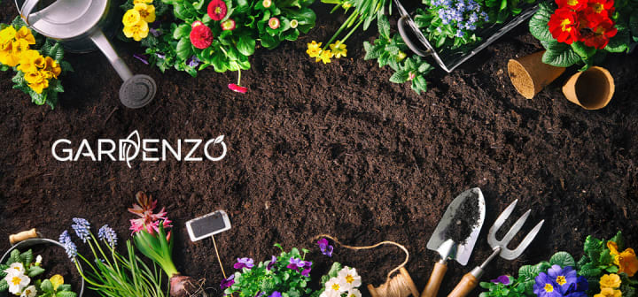  Pflanzen von GARDENZO