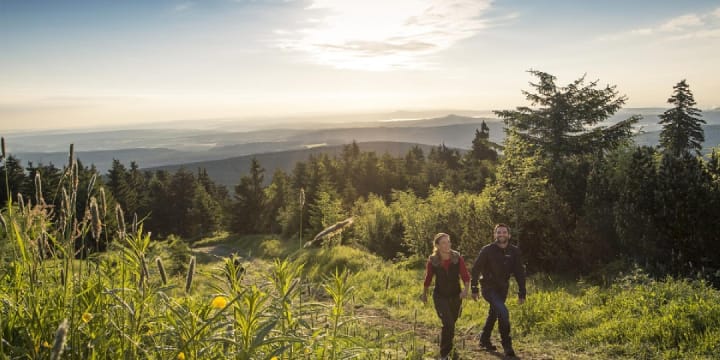 PANORAMA Hotel Oberwiesenthal