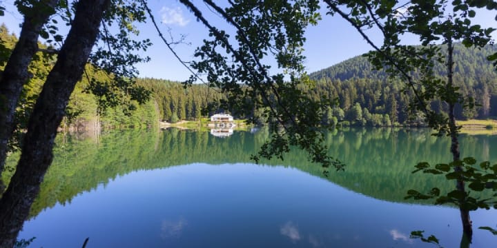Surprise Deal - Thüringer Wald