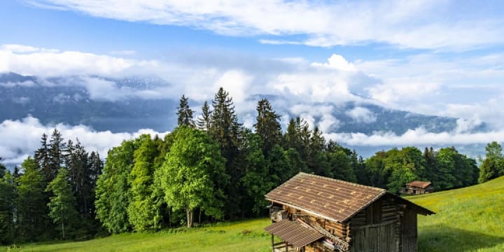 Secret Summer Sale - Bayerischer Wald