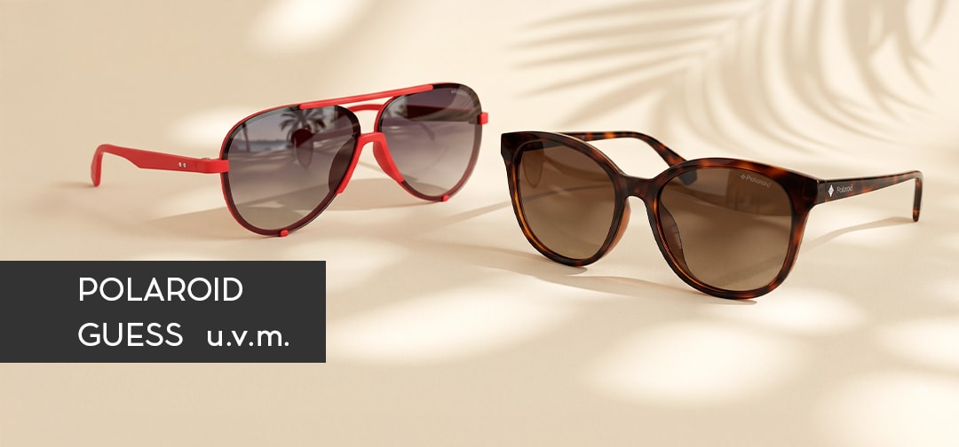 Stylische Sonnenbrillen von Top-Marken