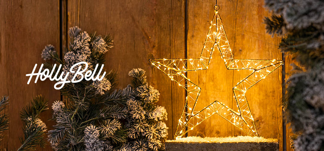 HollyBell