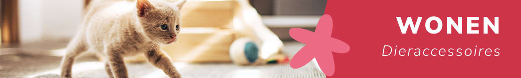 Dieraccessoires