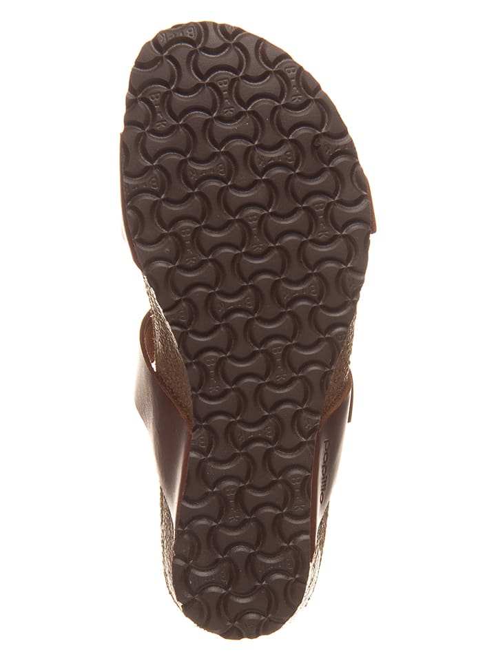 Papillio tessa hot sale