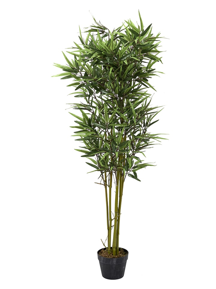 Sztuczna roślina w kolorze zielonym - wys. 150 cm