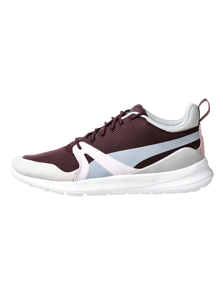 Puma evo sneakers top