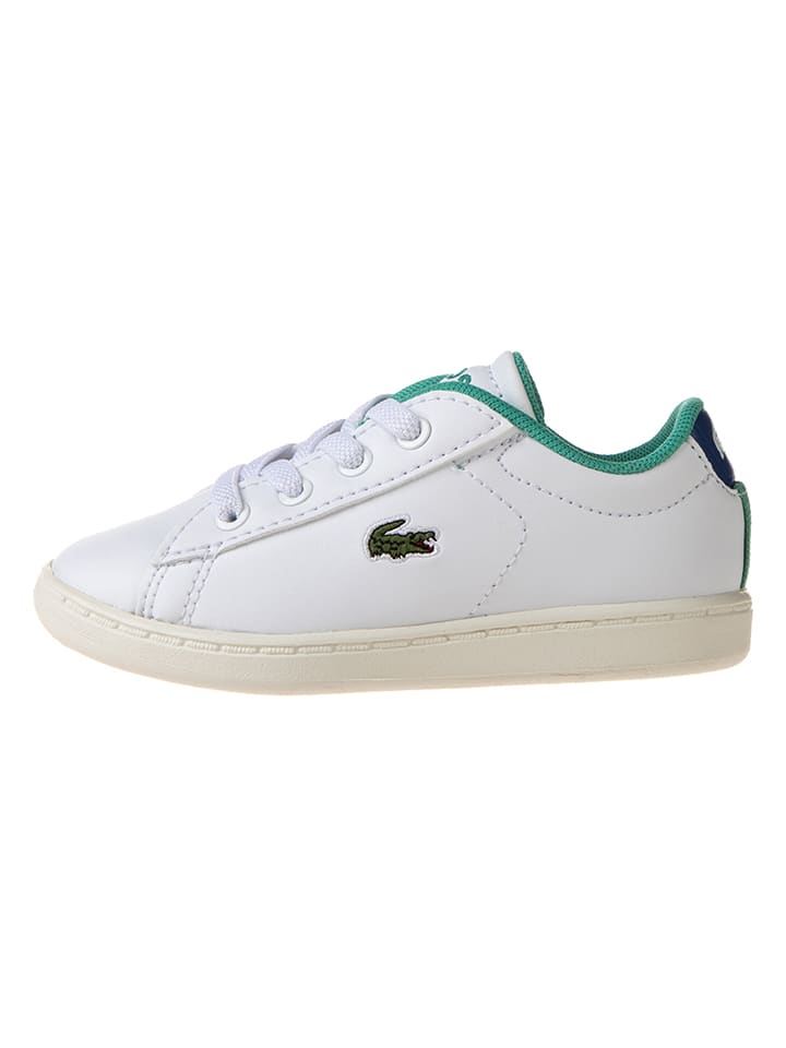 Lacoste sales evo trainers