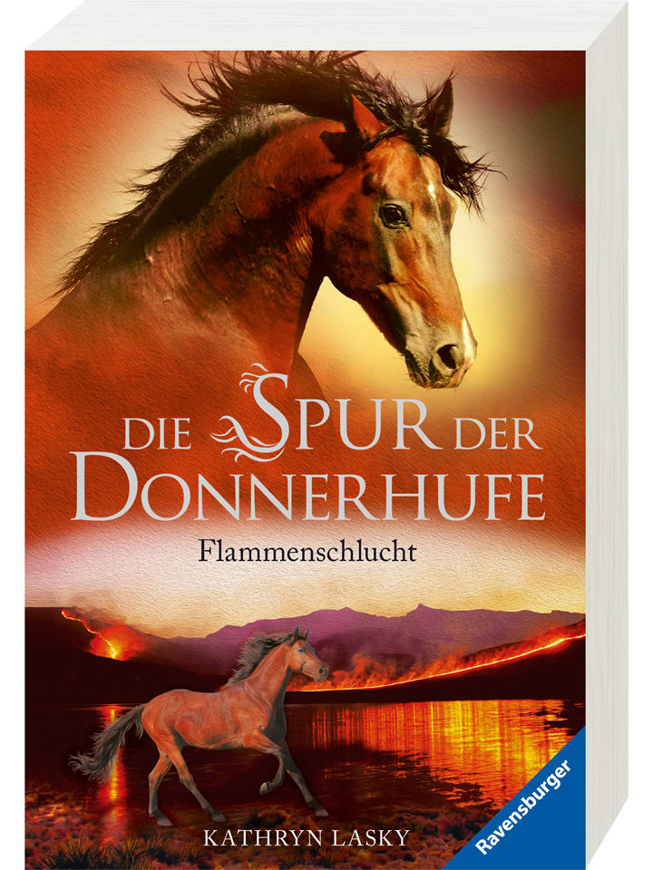 Jugendroman "Die Spur der Donnerhufe, Band 1: Flammenschlucht"