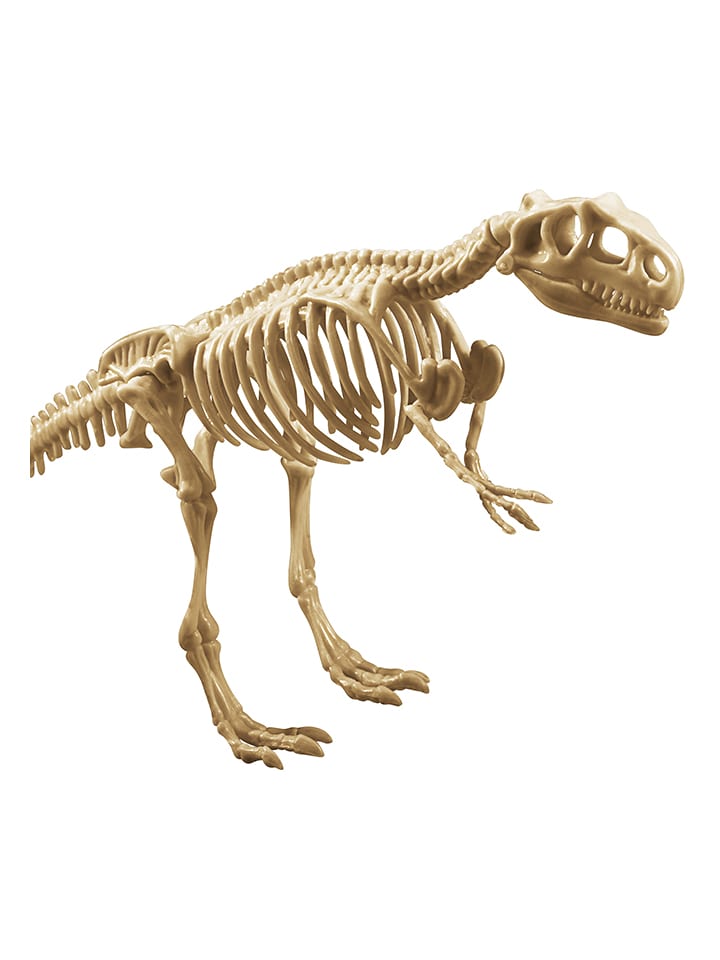 Zestaw do eksperymentów archeologicznych - 5+