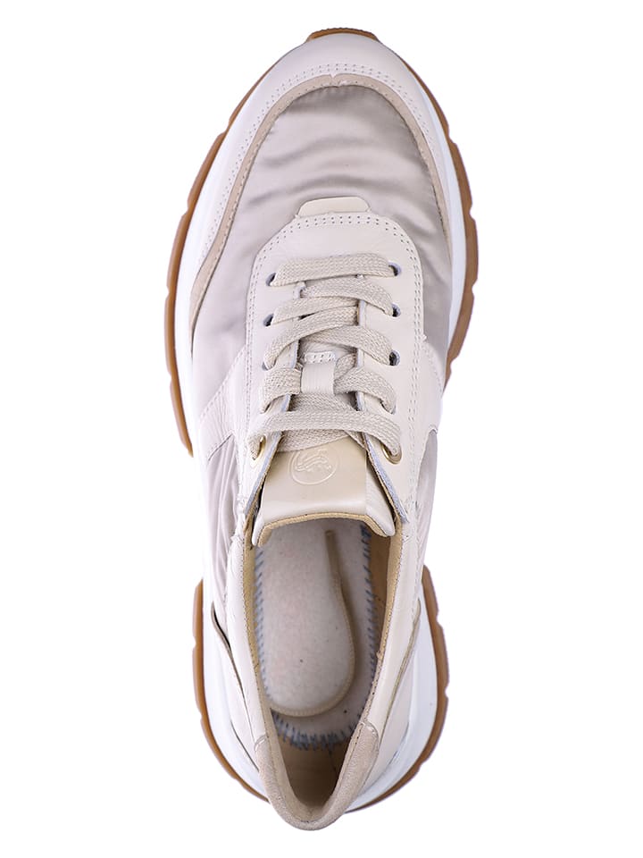 Salamander store new balance