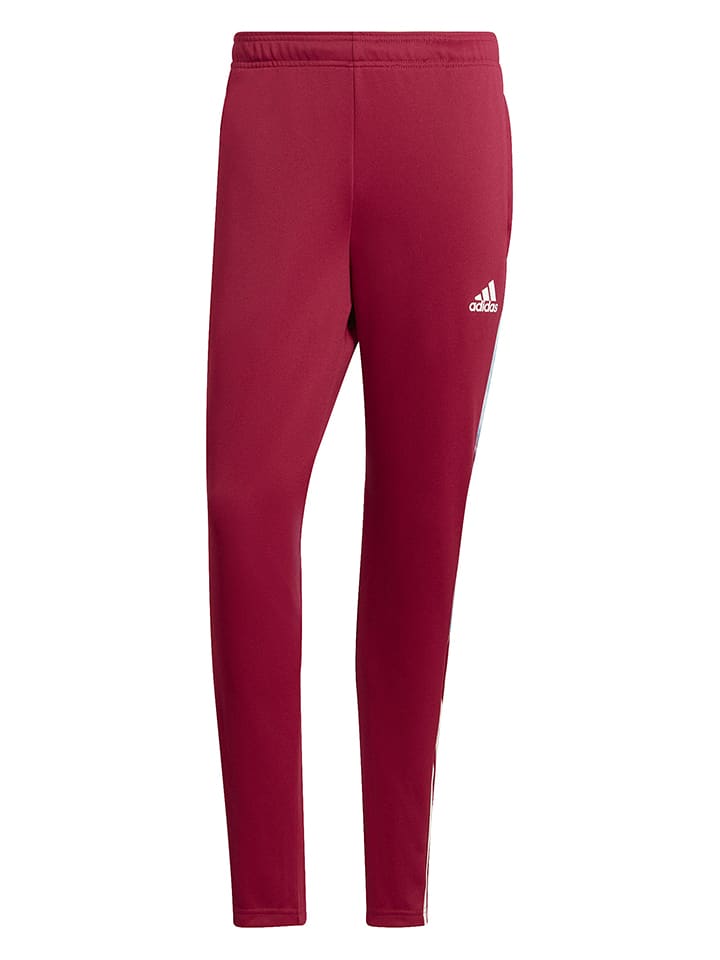 Adidas best sale trainingsbroek rood