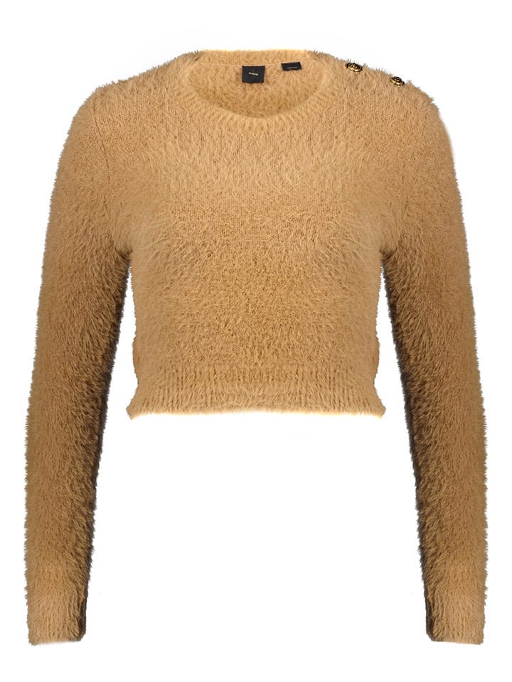 Pinko trui online