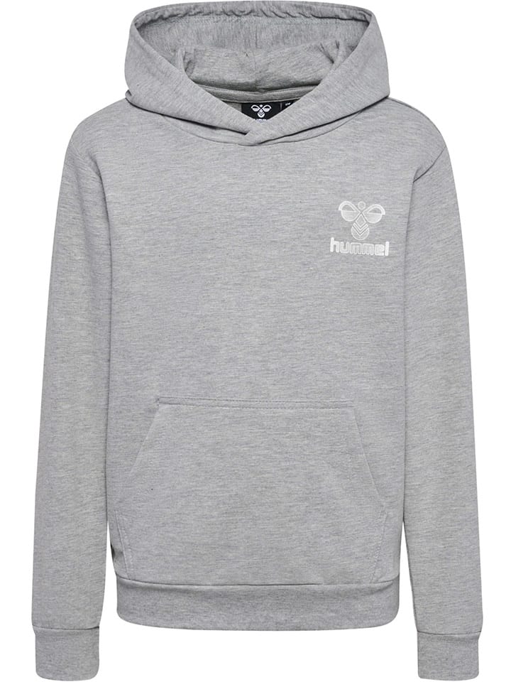 Hoodie "Proud" in Grau
