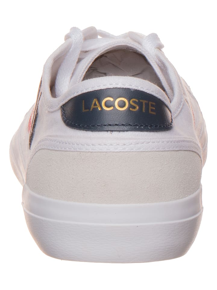 Lacoste sideline tricolor sneaker new arrivals