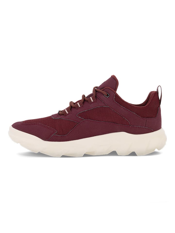 Ecco bordeaux sneakers shop