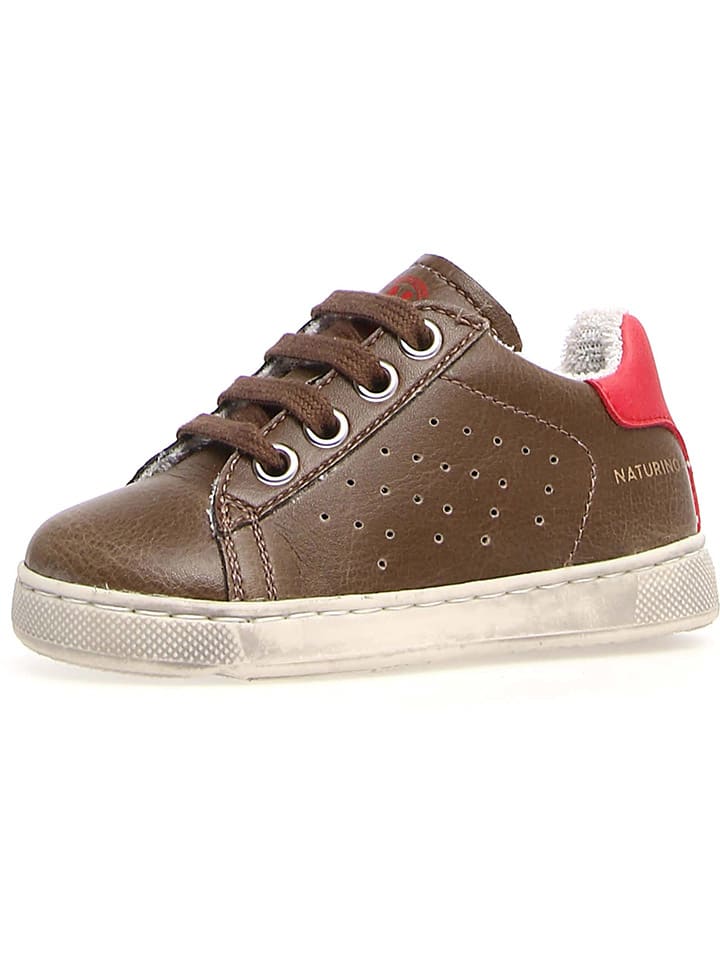 Leder-Sneakers "Hasselt" in Braun