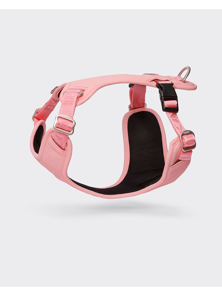 Hundegeschirr in Rosa