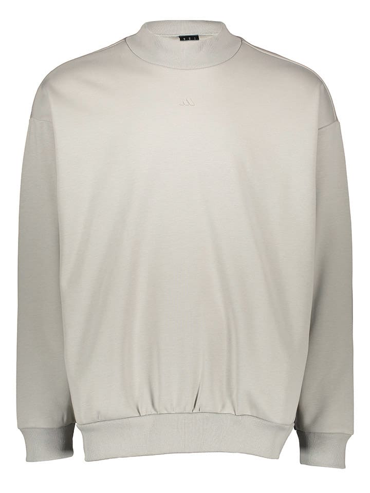 Sweatshirt grijs