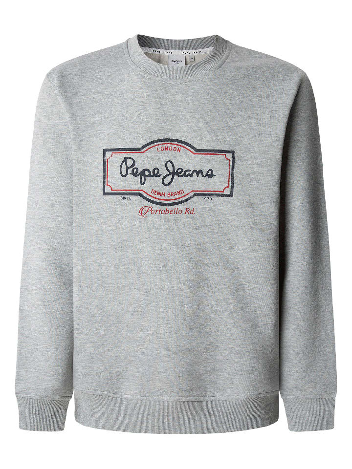 Sweatshirt "Daxton" in Grau
