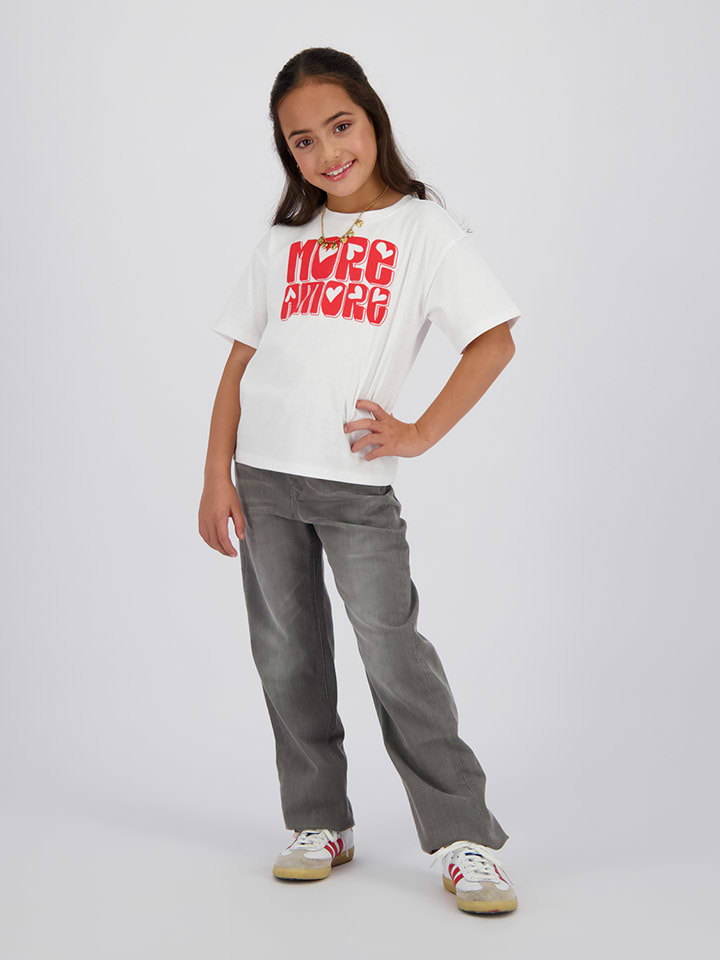Jeans - Straight fit - in Grau