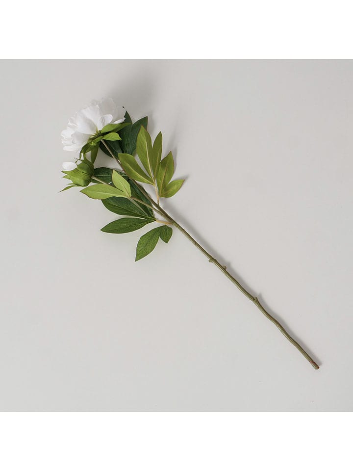 Sztuczny kwiat "Peony" w kolorze zielono-białym - wys. 72 cm