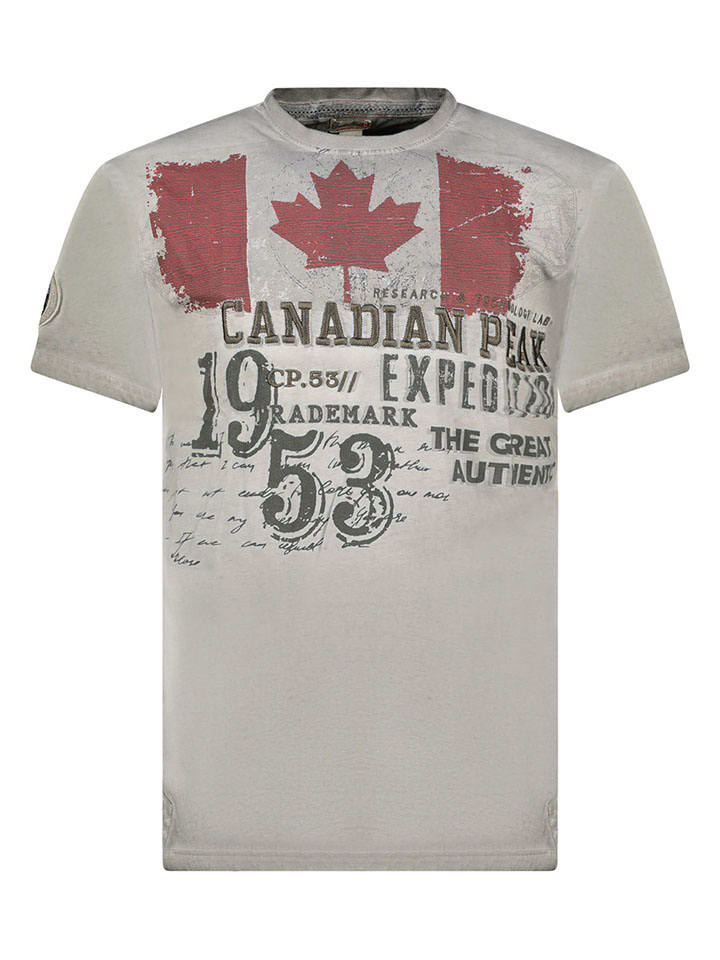 Shirt "Jeleganteak" in Grau