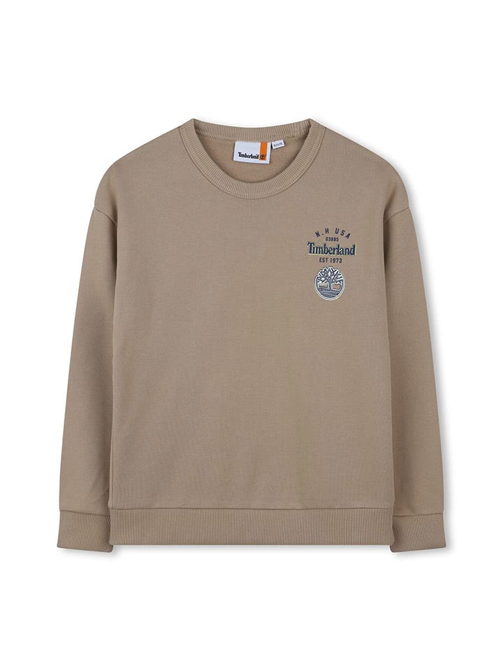 Sweatshirt in Beige