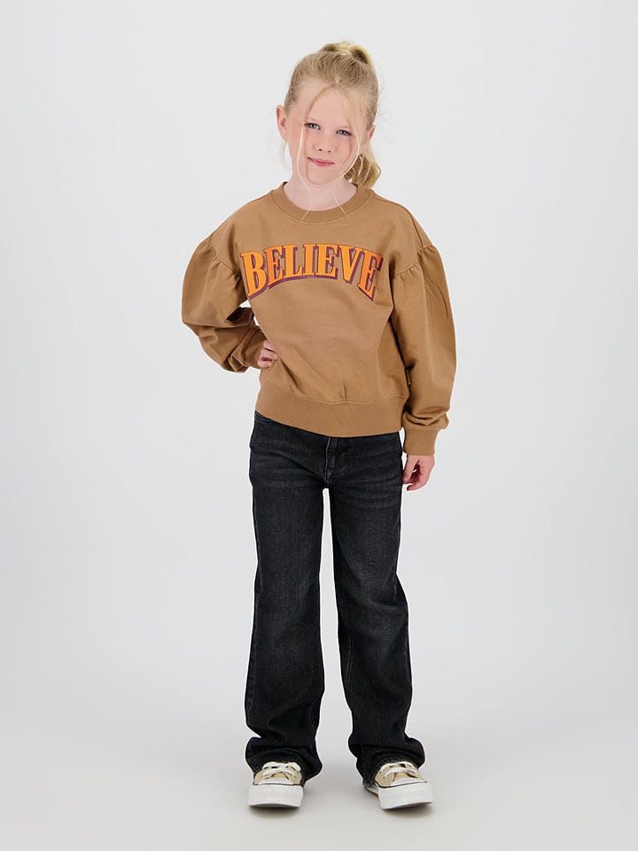 Sweatshirt in Hellbraun