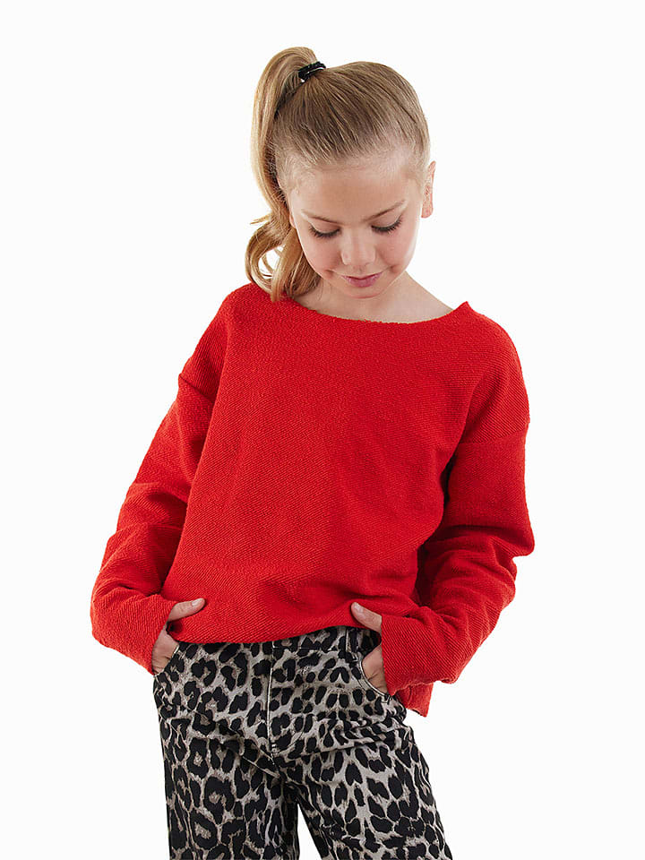 Sweatshirt in Rot