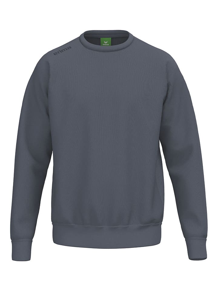 Sweatshirt in Grau