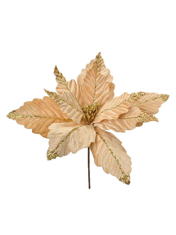 2-delige set: decoplanten beige/goudkleurig - (H)36 cm