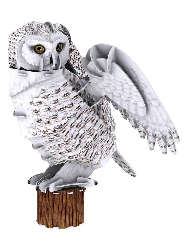 62-częściowe puzzle 3D "Snowy owl" - 8+