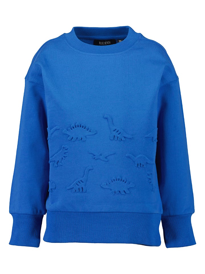 Sweatshirt in Blau